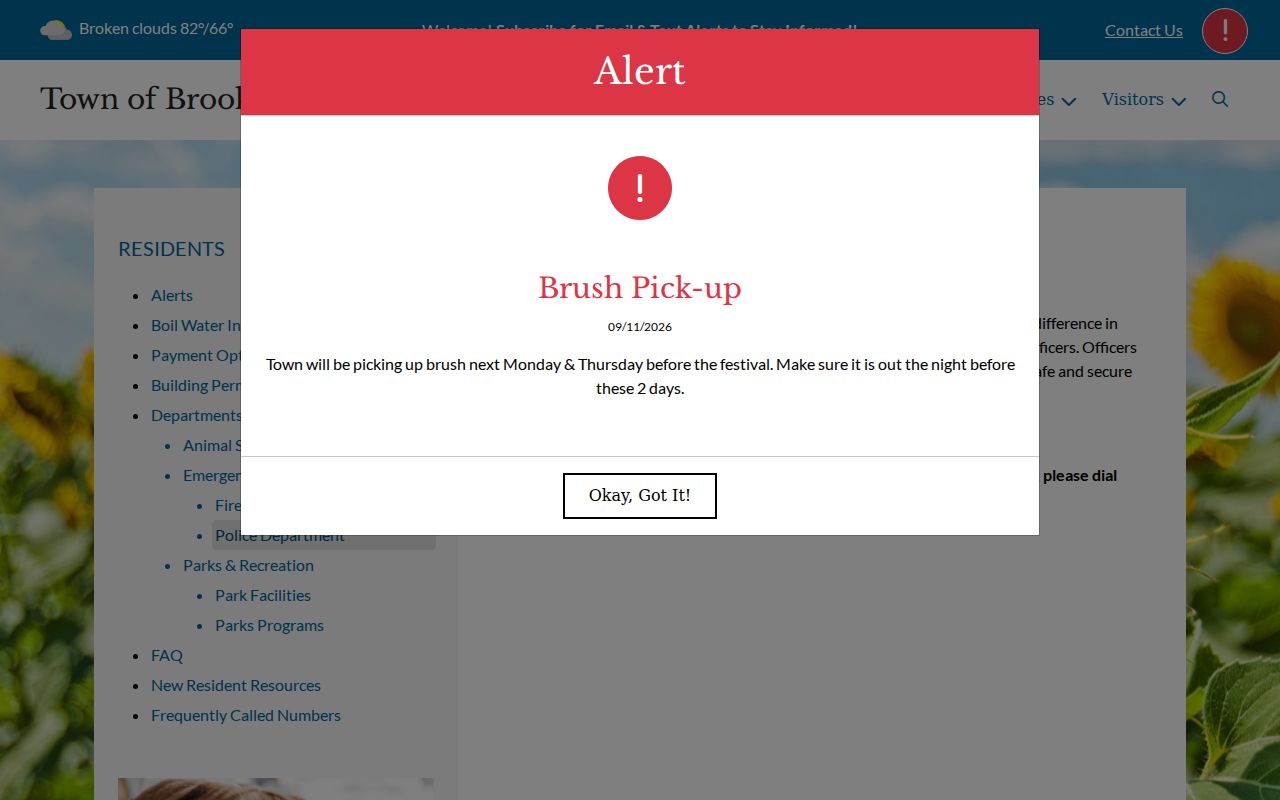 Official Brookston Police Department entry page